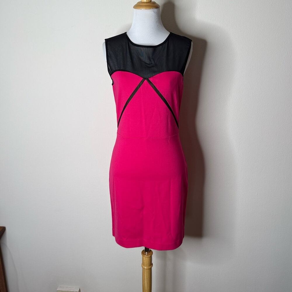 ERIN by Erin Fetherson Pink and Black Mesh Mini Dress